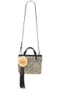 view 1 of 5 Raffia Mini Crossbody Bag in Noir Natural