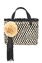view 2 of 5 Raffia Mini Crossbody Bag in Noir Natural