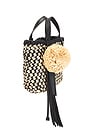 view 4 of 5 Raffia Mini Crossbody Bag in Noir Natural