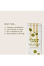 view 4 of 7 Limited Edition Hop-Infused Growth Serum in 