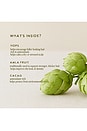 view 5 of 7 Limited Edition Hop-Infused Growth Serum in 