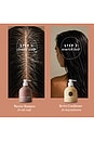 view 4 of 7 Warrior Shampoo in 