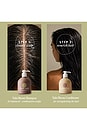 view 4 of 7 Tulsi Bloom Shampoo in 