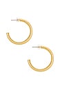 view 2 of 3 Fine Line Hoops Earrings in Gold