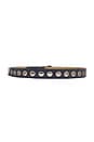 view 2 of 3 Eyelet Belt in Blue