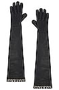view 1 of 2 Wild Cat Long Gloves in Black