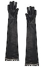 view 2 of 2 Wild Cat Long Gloves in Black