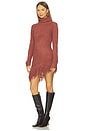 view 3 of 4 Whole Lotta Trouble Dress in Brown