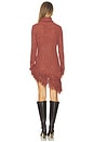 view 4 of 4 Whole Lotta Trouble Dress in Brown
