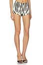 view 2 of 6 x REVOLVE Zebra Short in Cream & Black