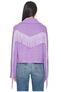 view 4 of 6 Cropped Rodeo Cardigan in Purple