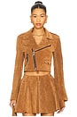 view 1 of 4 Sugar High Moto Jacket in Emperador