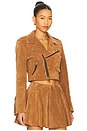 view 2 of 4 Sugar High Moto Jacket in Emperador