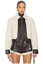 view 2 of 5 Faux Shearling Leather Jacket in Shearling & Brown