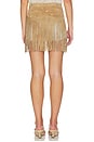 view 4 of 6 Dallas Fringe Chapskirt in Honey