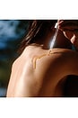 view 4 of 7 Golden Microalgae Body Oil in 