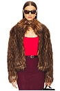 view 1 of 5 CHAQUETA DELISH FAUX FUR in Brown Raccoon