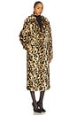 view 3 of 4 Long Song Coat in Light Leopard