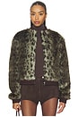 view 1 of 5 Foliage Jacket in Green Leopard