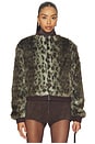 view 2 of 5 Foliage Jacket in Green Leopard