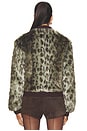 view 4 of 5 Foliage Jacket in Green Leopard