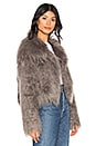 view 2 of 4 The Passage Of Venuss Faux Fur Jacket in Titanium Grey