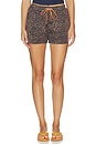 view 1 of 6 SHORT PARA CORRER LUDLOW LUCKY in Leopard