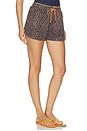 view 2 of 6 SHORT PARA CORRER LUDLOW LUCKY in Leopard