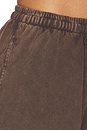 view 7 of 7 Soho Dolci Short in Cocoa