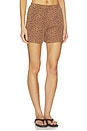 view 2 of 6 Javan Darcy Short in Leopard