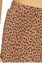 view 6 of 6 Javan Darcy Short in Leopard