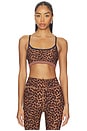 view 1 of 4 Malawi Badu Crossback Sports Bra in Animal