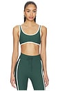 view 1 of 4 Santa Fe Brielle Scoop Sports Bra in Jungle Green