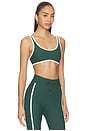 view 2 of 4 Santa Fe Brielle Scoop Sports Bra in Jungle Green