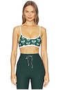 view 1 of 4 Racquet Scoop Danni Sports Bra in Novelty