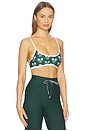 view 2 of 4 Racquet Scoop Danni Sports Bra in Novelty