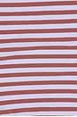 view 5 of 5 SUJETADOR DEPORTE MIAMI SCOOP NECK JASMINE in Stripe