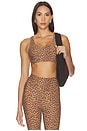 view 1 of 4 Javen Jade Bra in Leopard