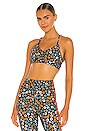 view 1 of 4 Atacama Larri Bra in Floral