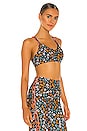 view 2 of 4 Atacama Larri Bra in Floral