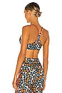 view 3 of 4 Atacama Larri Bra in Floral