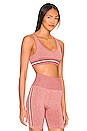 view 2 of 4 Sierra Daisy Sports Bra in Pink