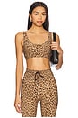 view 1 of 4 Panthera Daisy Scoop Neck Sports Bra in Leopard