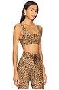 view 2 of 4 Panthera Daisy Scoop Neck Sports Bra in Leopard