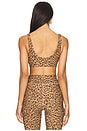 view 3 of 4 Panthera Daisy Scoop Neck Sports Bra in Leopard
