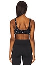 view 3 of 4 Satellite Bridie Sports Bra in Novelty