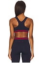 view 3 of 4 SUJETADOR DEPORTIVO SIN COSTURA JADE in Navy