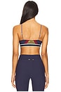 view 3 of 4 Starburst Geogie Scoop Sports Bra in Multi