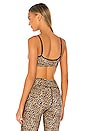 view 3 of 4 SUJETADOR DEPORTE LEO in Leopard