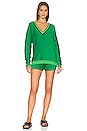 view 4 of 4 Nirvarna Louie Sweater in Green